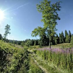 Black Forest ULTRA Bike Marathon